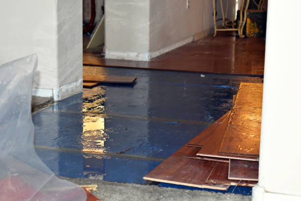 Professional Burst Pipe Cleanup technician working in Rainier, OR